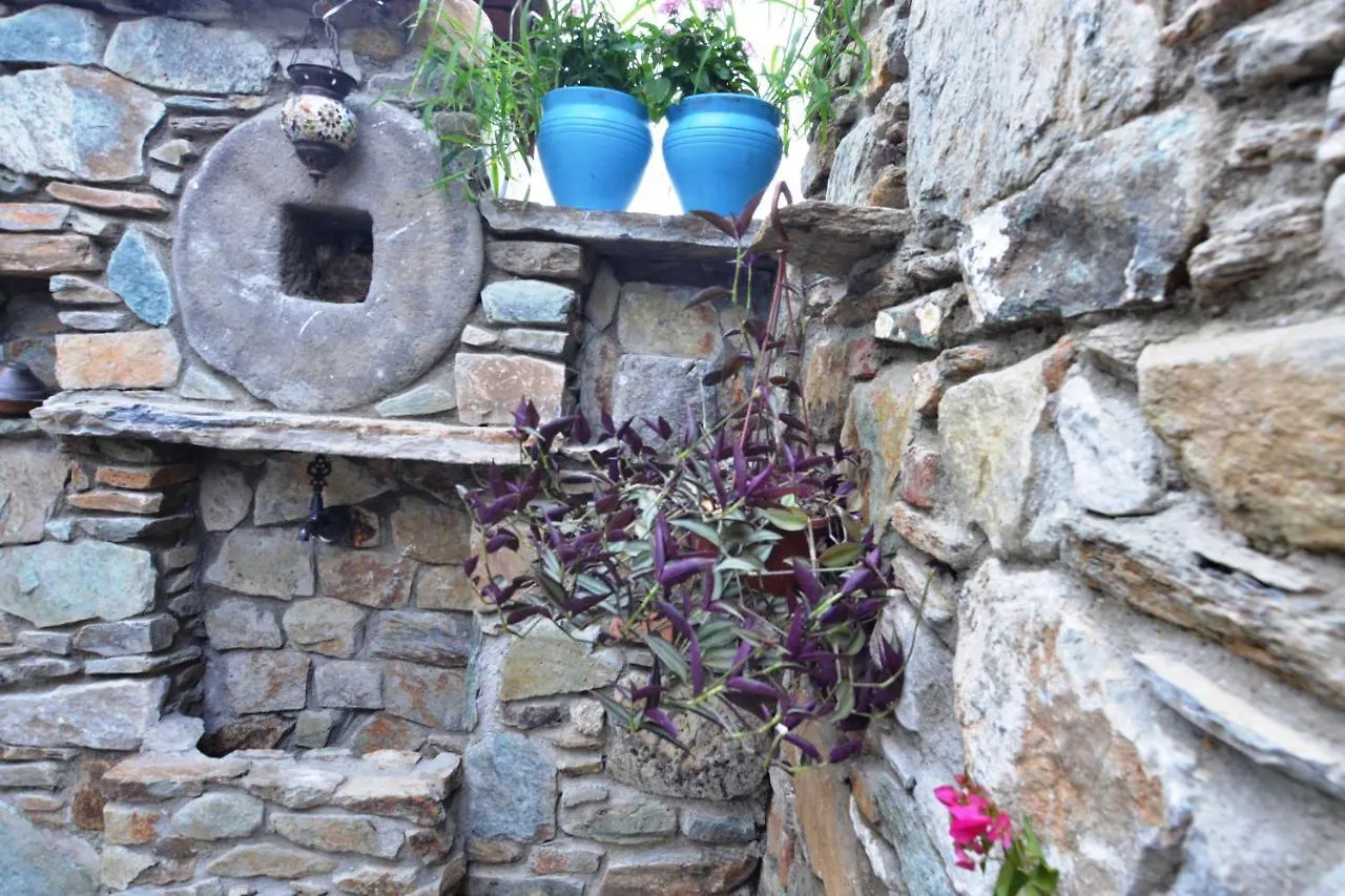 Sirincem Pension Selçuk
