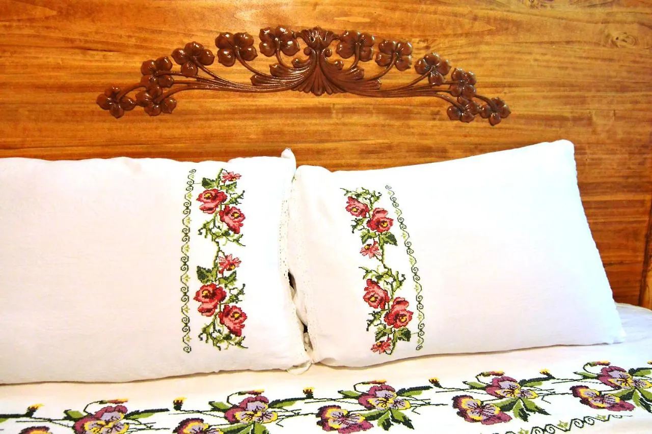 Sirincem Pension Selcuk Homestay