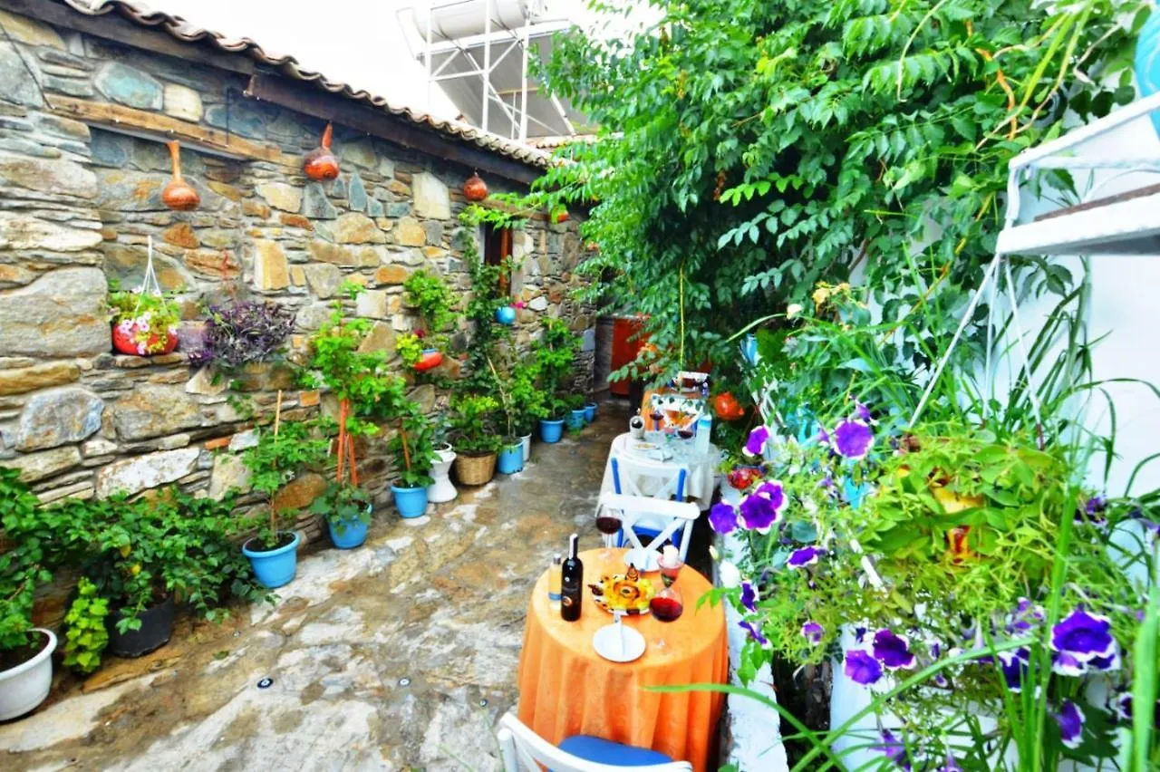 Séjour chez l'habitant Sirincem Pension Selçuk Turquie