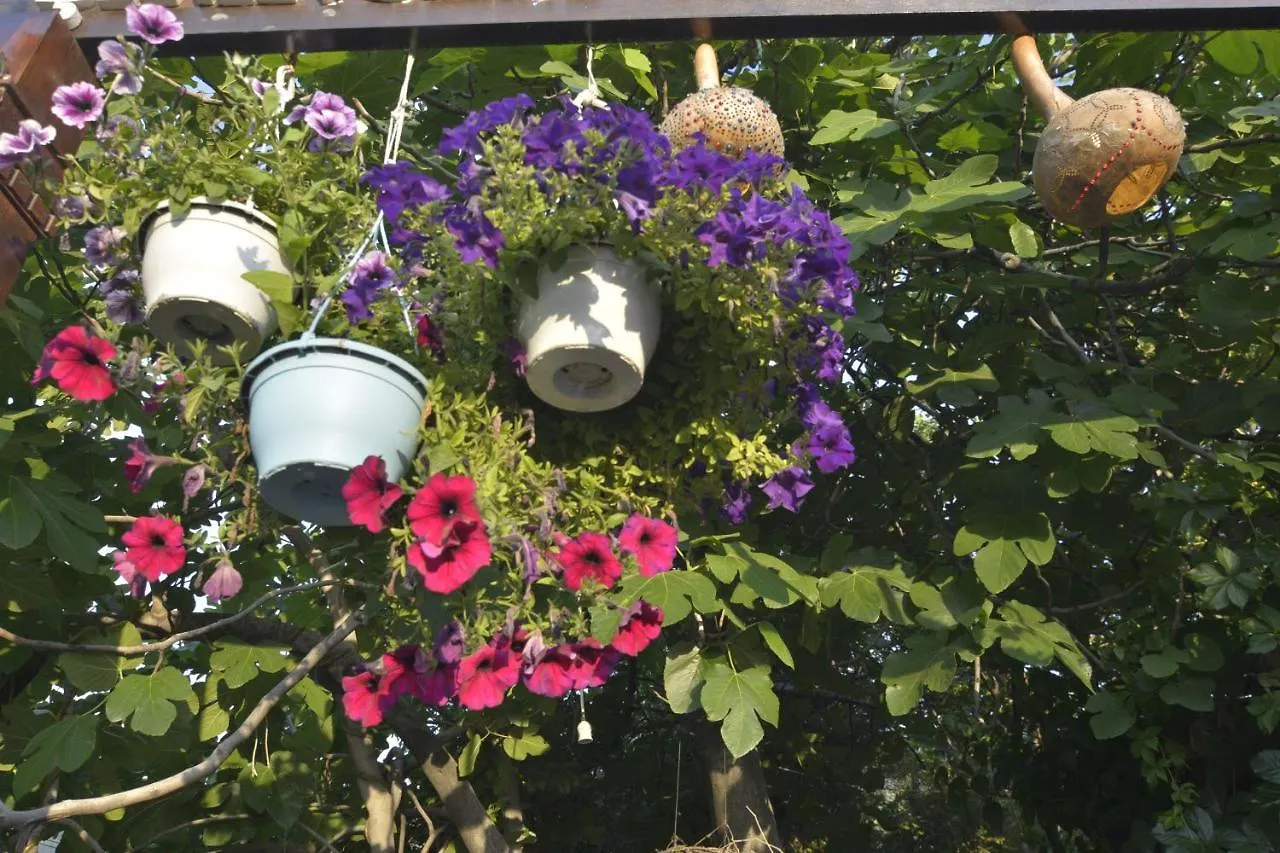 Sirincem Pension Selçuk