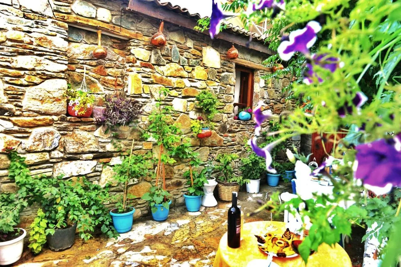 Accommodatie bij particulieren Sirincem Pension Selçuk