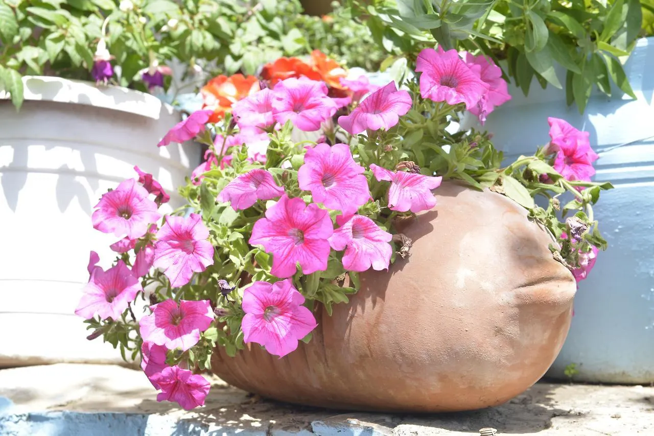 Sirincem Pension Selçuk